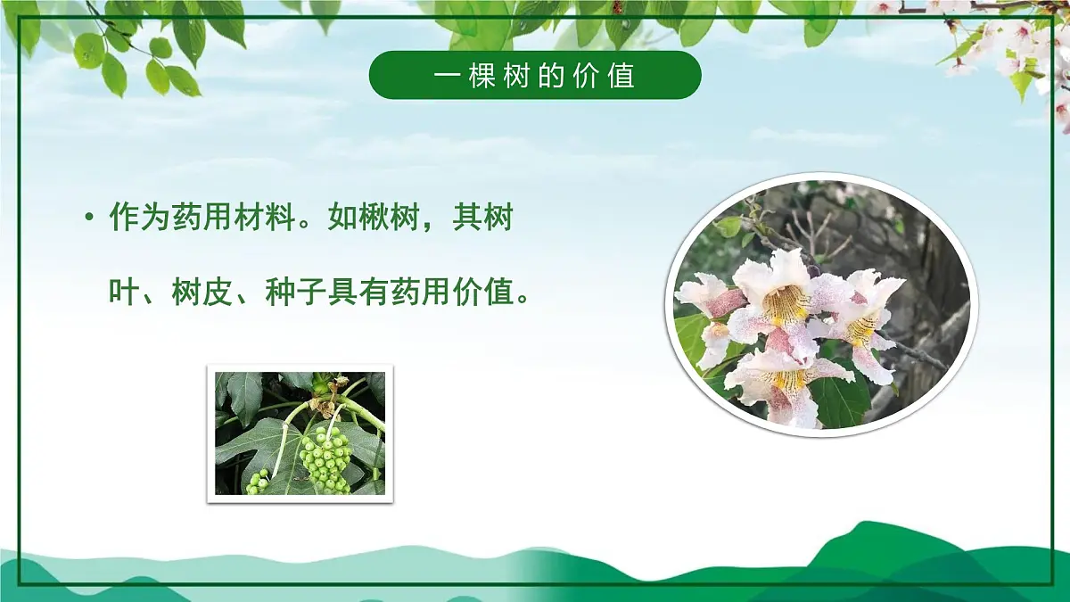 山东省泰安市新泰市楼德镇楼德小学-第4周主题班会-植树节【课件】第7页