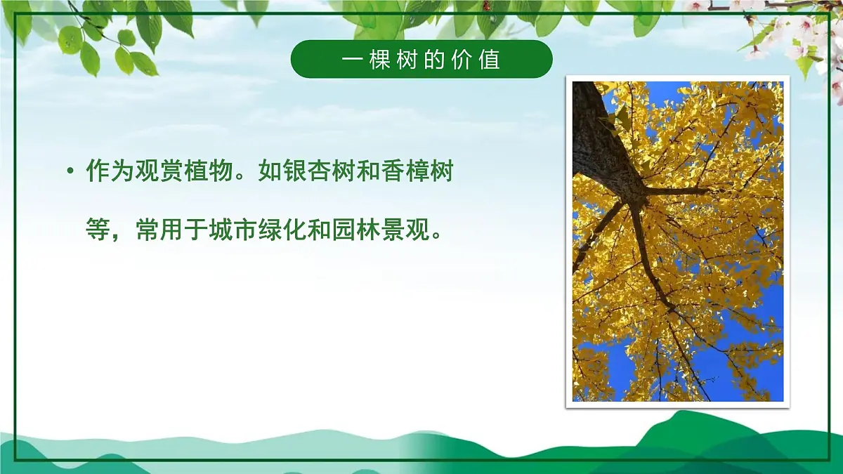 山东省泰安市新泰市楼德镇楼德小学-第4周主题班会-植树节【课件】第8页