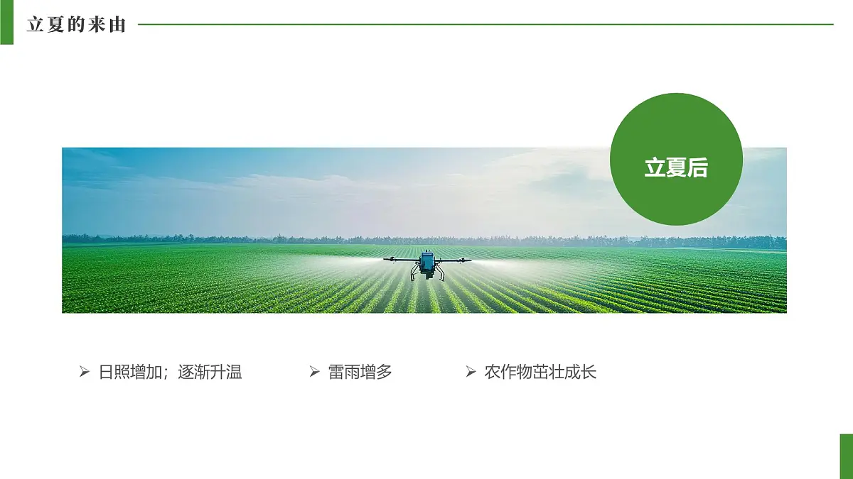 绿色简约风立夏来历和习俗课件第6页
