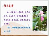 蕪湖市弋江區(qū)長江南路小學(xué)-勵志班會-不要輕言放棄【課件】