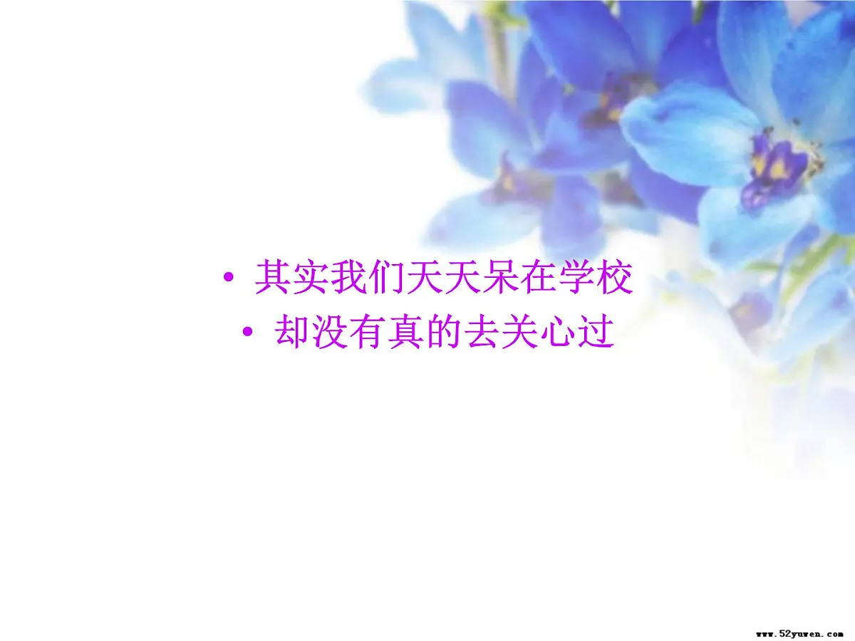吉林省长春市解放大路小学-主题班会-二（一）班讲文明讲卫生【课件】第3页