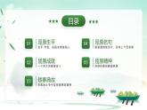 渭南市華陰市華山論劍小學(xué)-端午節(jié)主題班會(huì)【課件】