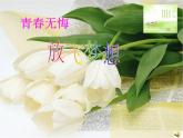 河南省焦作市修武縣云臺(tái)山鎮(zhèn)初級(jí)中學(xué)-主題班會(huì)-青春無(wú)悔、放飛夢(mèng)想【課件】