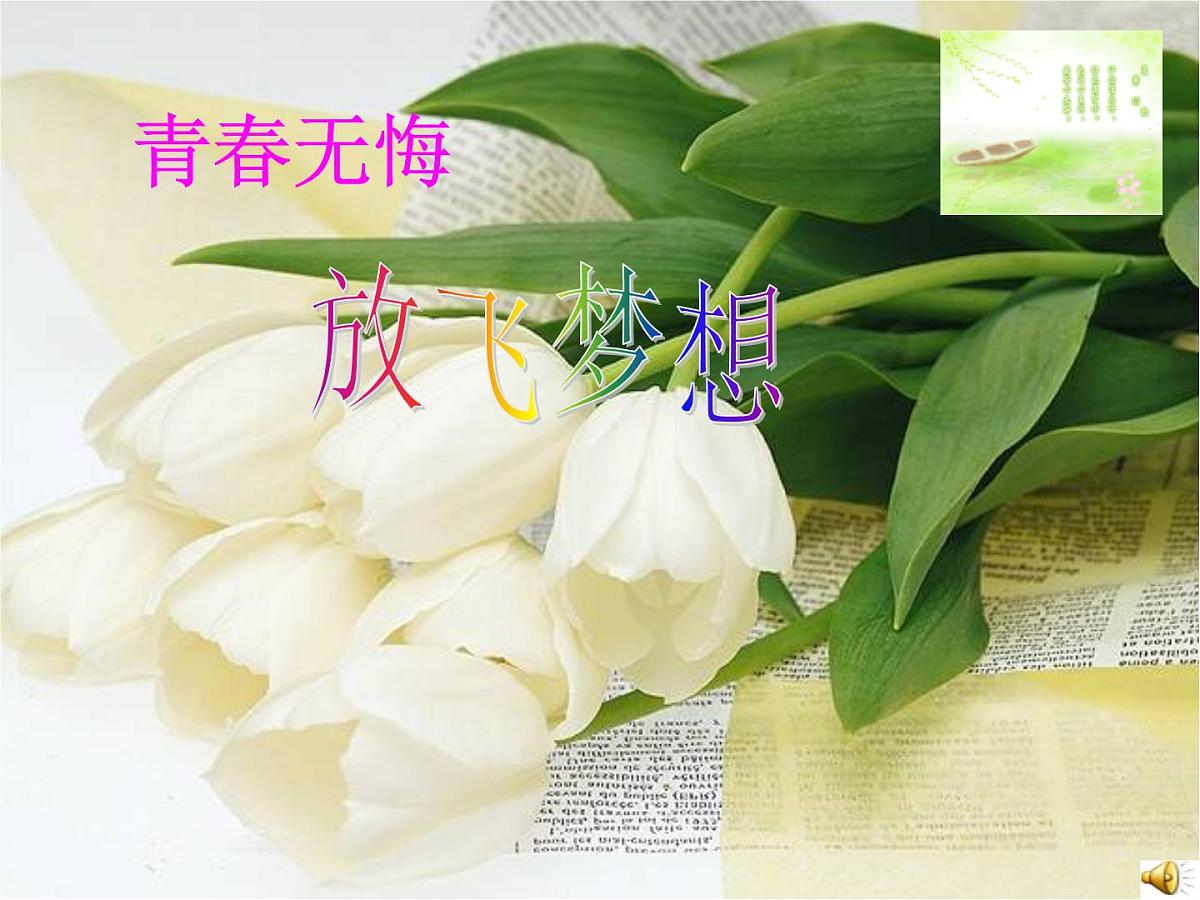 河南省焦作市修武县云台山镇初级中学-主题班会-青春无悔、放飞梦想【课件】第1页