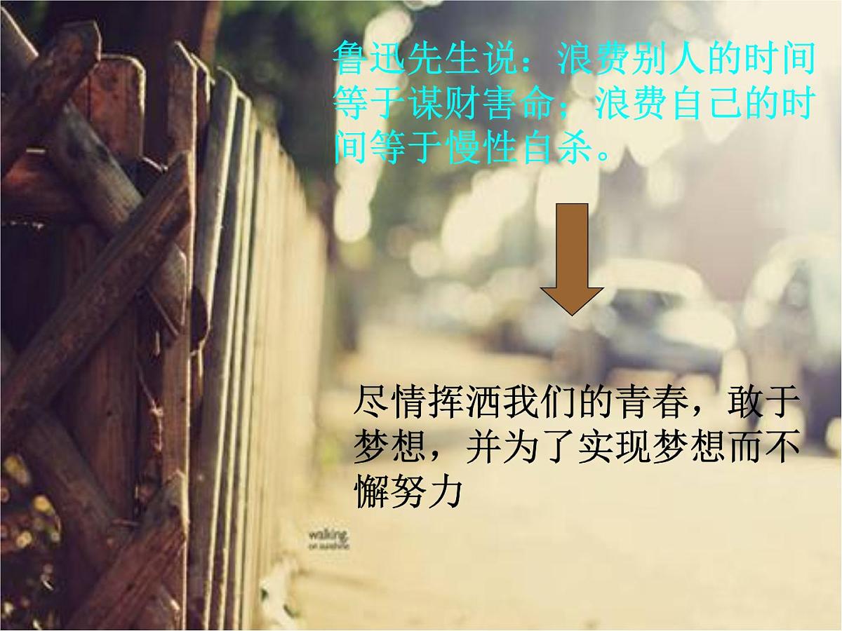 河南省焦作市修武县云台山镇初级中学-主题班会-青春无悔、放飞梦想【课件】第8页