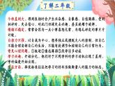 鄭州市中原區(qū)綠城廣場小學-慢慢來，比較快-二年級下期中家長會【課件】