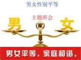 陜西省渭南市臨渭區(qū)實(shí)驗(yàn)小學(xué)-主題班會(huì)-男女性別平等【課件】