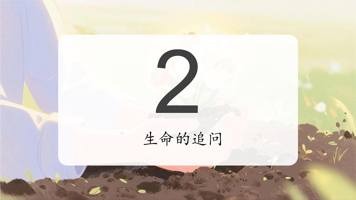 贵州省赫章县妈姑镇初级中学-生命教育主题班会-点亮生命的一束光【课件】第7页