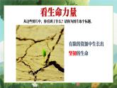 四川省崇州市白頭鎮(zhèn)初級(jí)中學(xué)-生命教育主題班會(huì)-生命成長(zhǎng)的力量【課件】