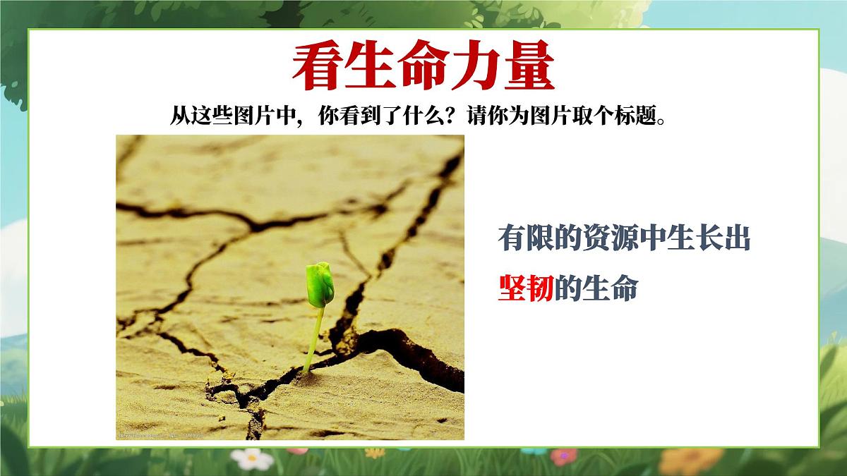 四川省崇州市白头镇初级中学-生命教育主题班会-生命成长的力量【课件】第2页
