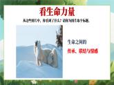 四川省崇州市白頭鎮(zhèn)初級(jí)中學(xué)-生命教育主題班會(huì)-生命成長(zhǎng)的力量【課件】