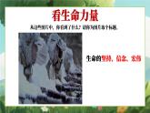 四川省崇州市白頭鎮(zhèn)初級(jí)中學(xué)-生命教育主題班會(huì)-生命成長(zhǎng)的力量【課件】