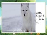 四川省崇州市白頭鎮(zhèn)初級(jí)中學(xué)-生命教育主題班會(huì)-生命成長(zhǎng)的力量【課件】