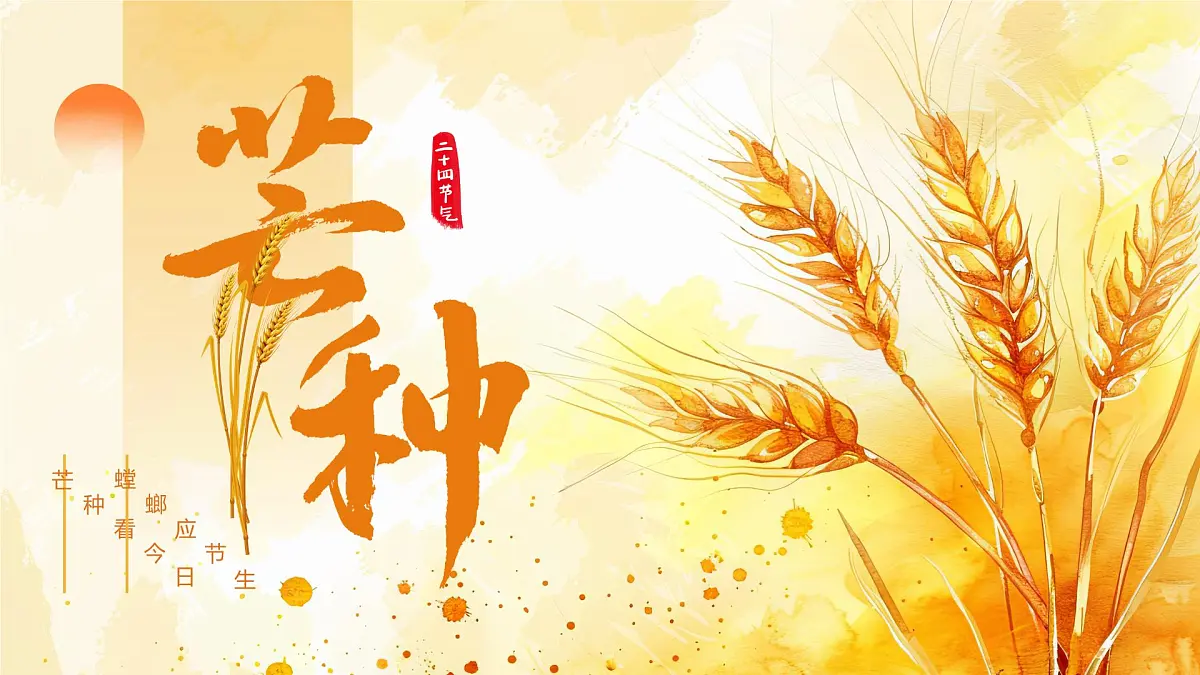中国传统二十四节气之芒种介绍主题班会课件第1页