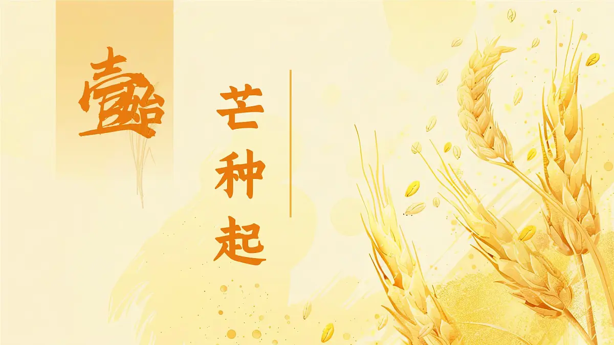中国传统二十四节气之芒种介绍主题班会课件第3页