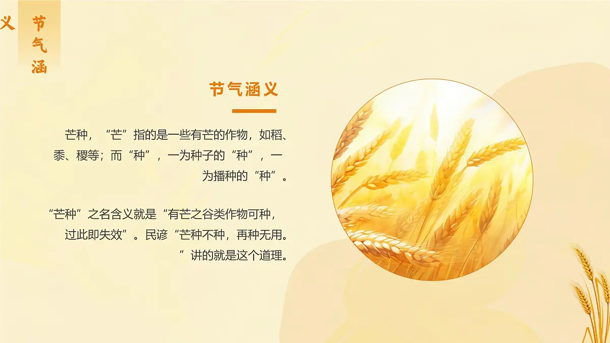 中国传统二十四节气之芒种介绍主题班会课件第5页