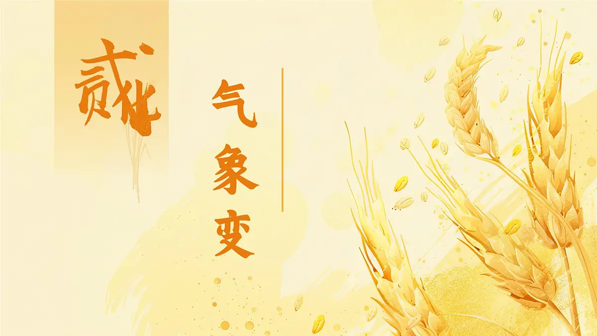 中国传统二十四节气之芒种介绍主题班会课件第6页