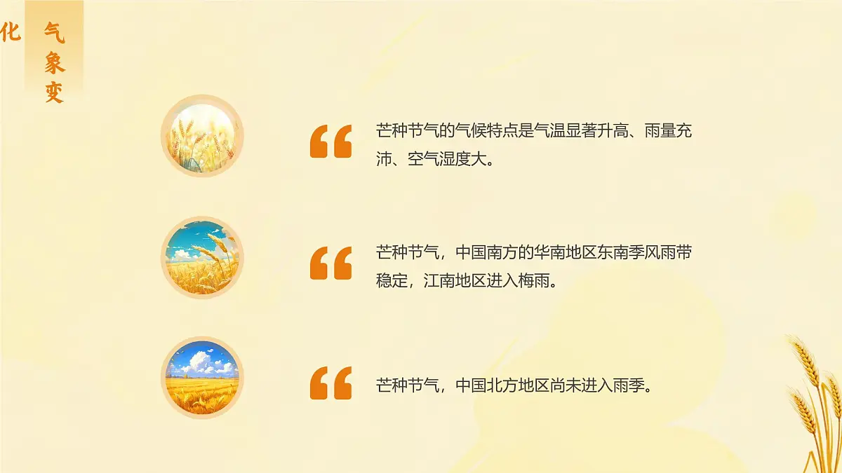 中国传统二十四节气之芒种介绍主题班会课件第7页