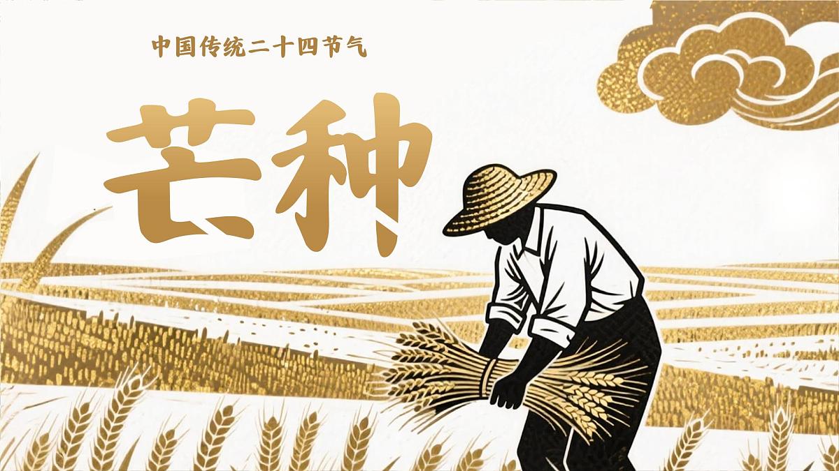 中国传统二十四节气之芒种介绍主题班会课件第1页
