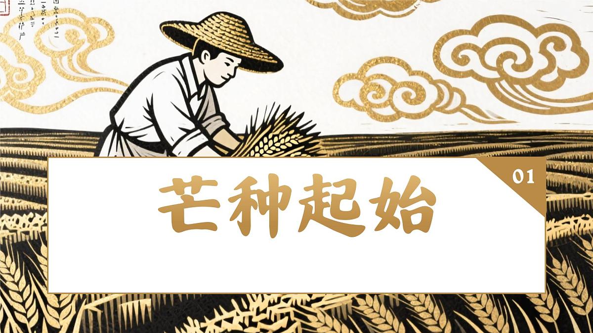中国传统二十四节气之芒种介绍主题班会课件第3页