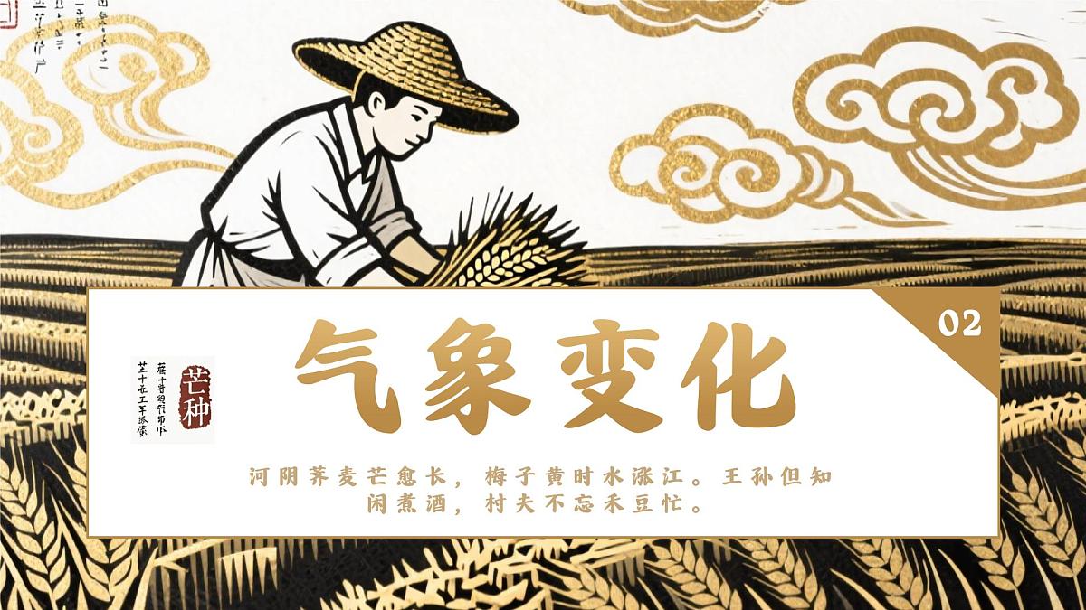 中国传统二十四节气之芒种介绍主题班会课件第6页