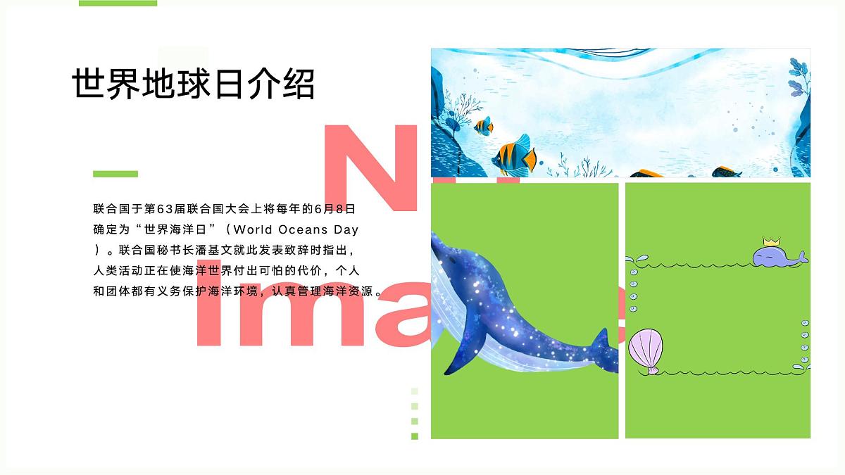 世界海洋日爱护海洋主题班会课件第4页