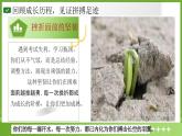 拼搏不息，夢想啟航——2025屆高考前勵志考場心理班會課件