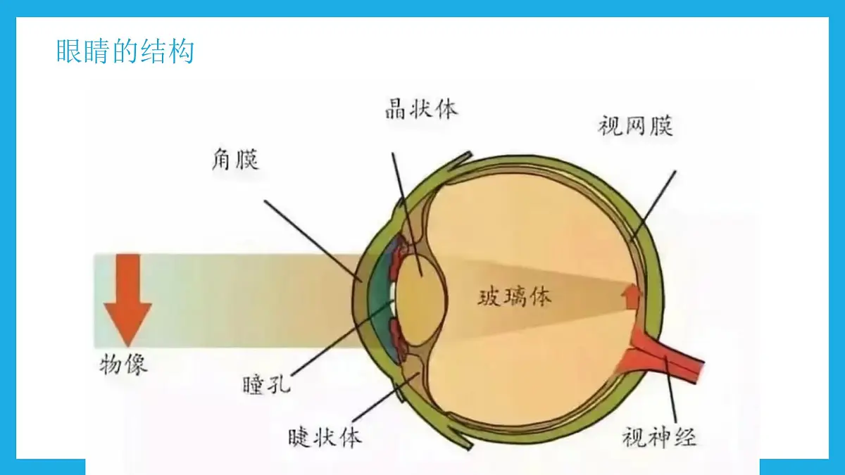 爱眼一小步，健康一大步——全国爱眼日主题班会课件第5页