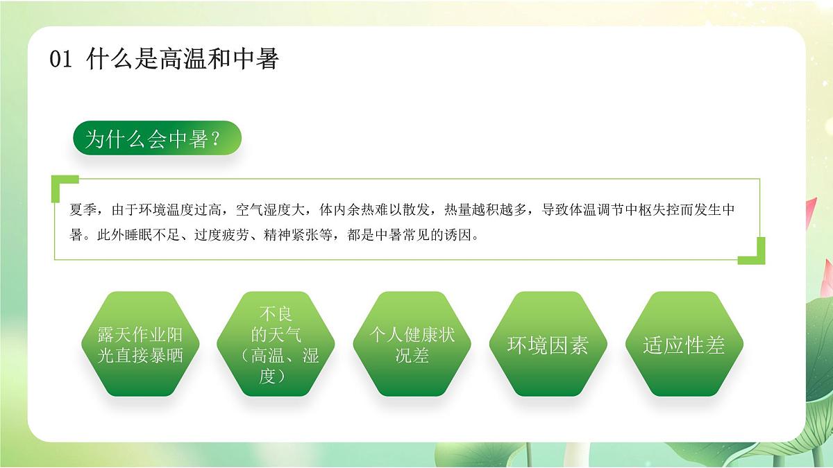 绿色简约防暑小妙招 课件第5页