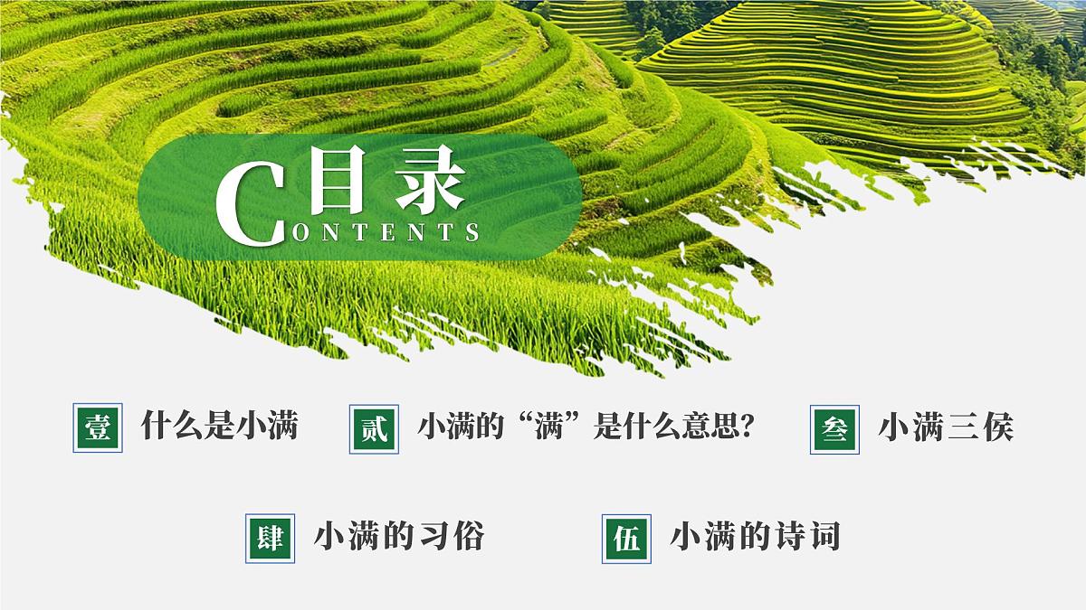绿色画风中国传统二十四节气之小满课件第2页