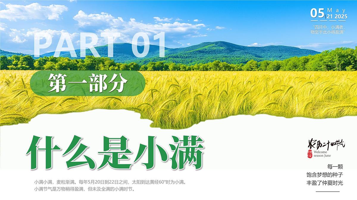 绿色画风中国传统二十四节气之小满课件第3页