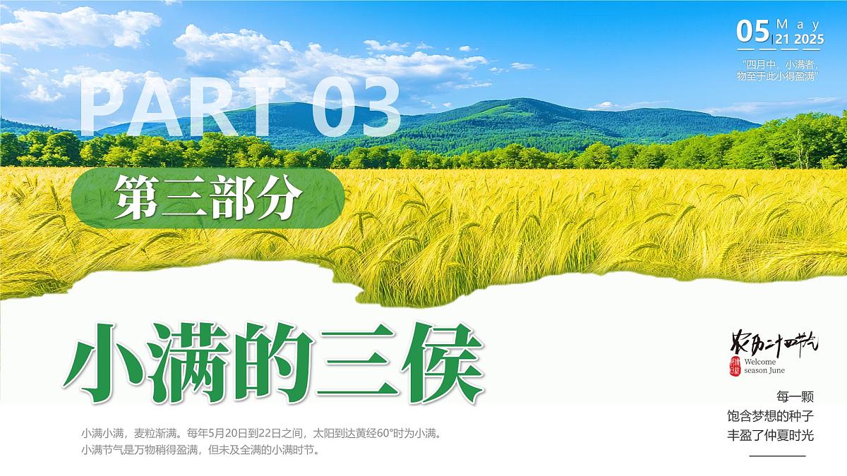 绿色画风中国传统二十四节气之小满课件第7页