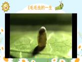 菏澤市鄆城縣黃安鎮(zhèn)中心小學-一年級下學期數(shù)學期末家長會-小毛毛蟲的破繭之旅【課件】