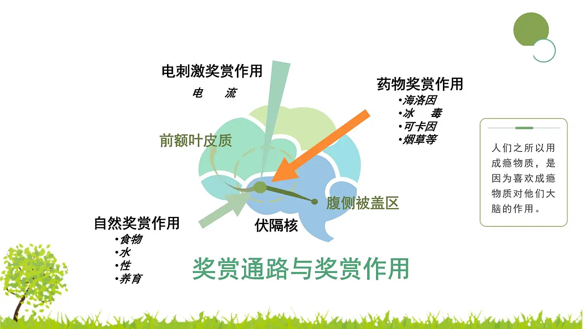 河南省鹤壁市浚县善堂镇初级中学-主题班会-无烟校园【课件】第6页