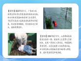 【通用版】預(yù)防溺水，讓愛同行—2025年暑假預(yù)防溺水安全教育課件
