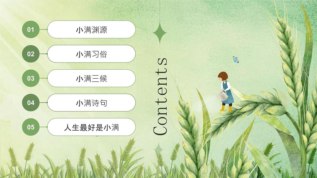 绿色小清新小满节气介绍 课件第2页