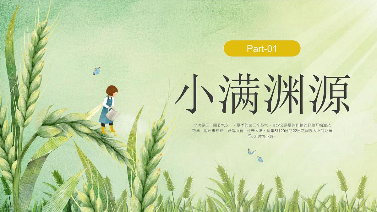 绿色小清新小满节气介绍 课件第3页