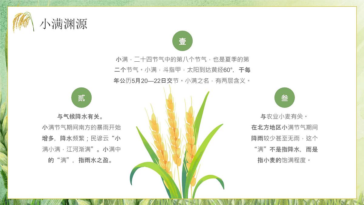 绿色小清新小满节气介绍 课件第4页