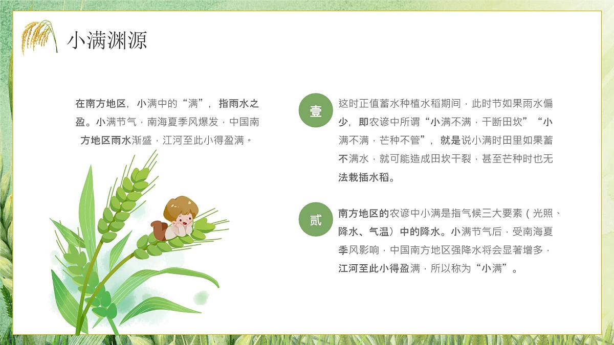 绿色小清新小满节气介绍 课件第5页