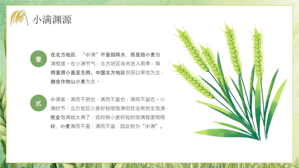 绿色小清新小满节气介绍 课件第6页