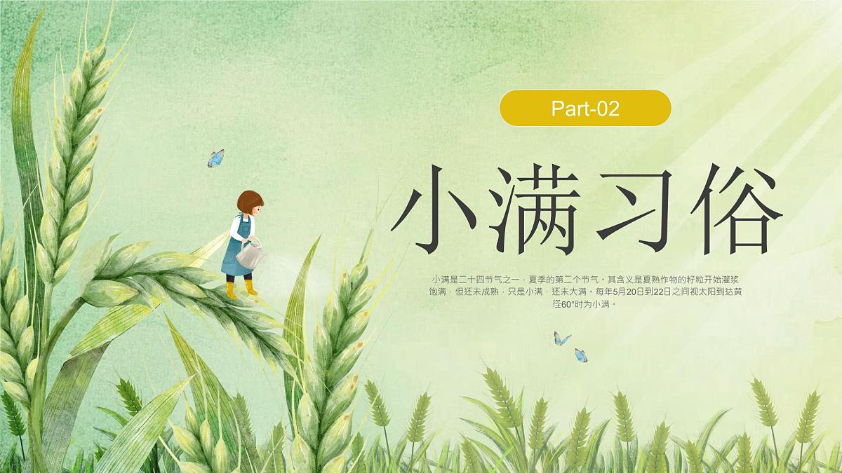 绿色小清新小满节气介绍 课件第7页