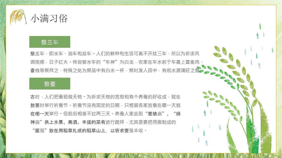 绿色小清新小满节气介绍 课件第8页
