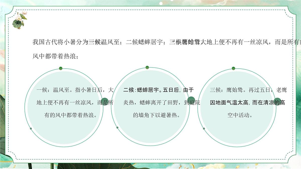 绿色小暑节气介绍课件第7页