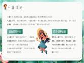 創(chuàng)意綠色小暑節(jié)氣介紹課件
