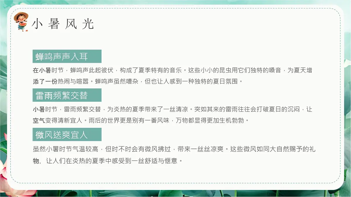 创意绿色小暑节气介绍课件第5页