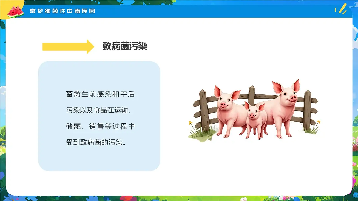 夏季食品安全健康指南课件第5页