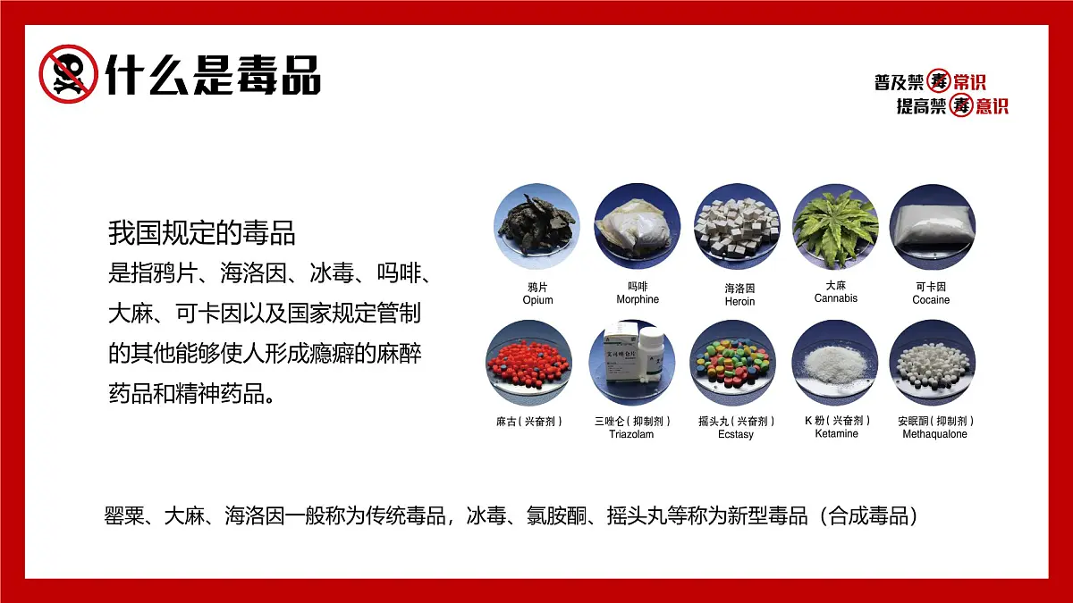 红色简约风2025全面禁毒宣传月课件第5页