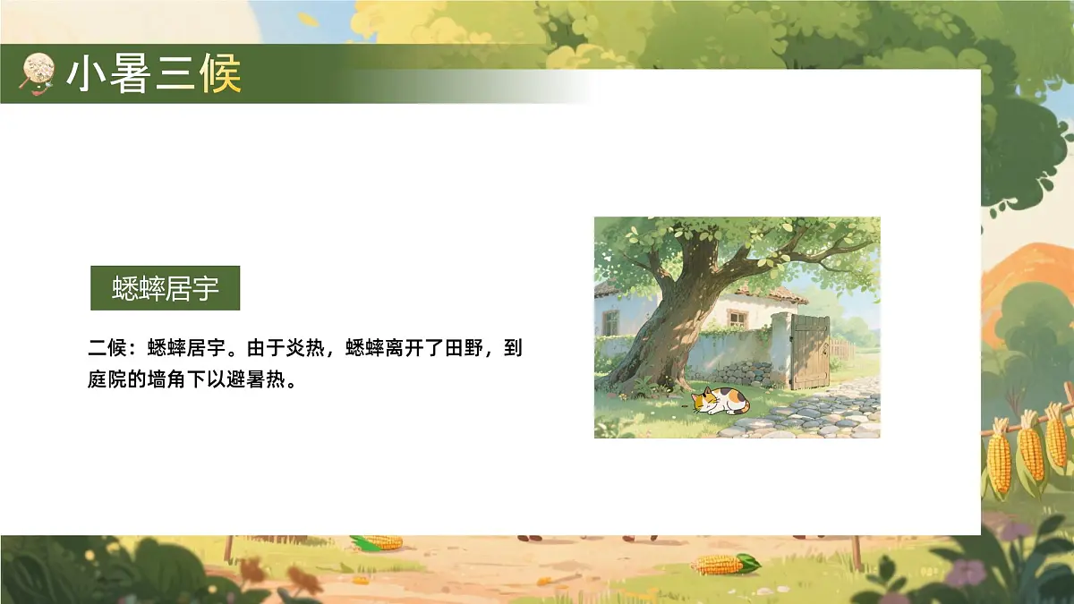绿色画风二十四节气之小暑节气课件第8页