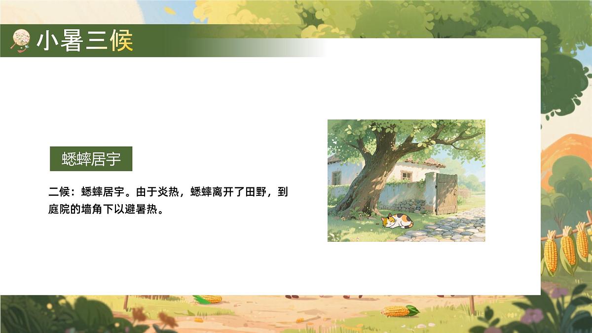 绿色画风二十四节气之小暑节气课件第8页