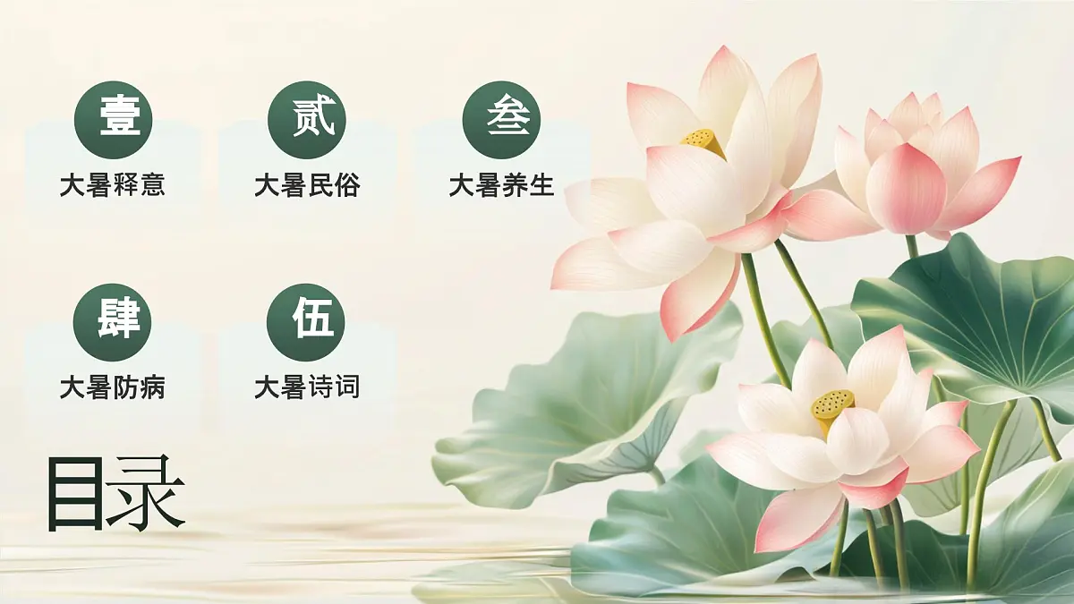 绿色小清新大暑节气介绍 课件第2页